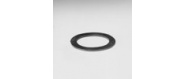 dtg-tarpine_f_1_220_0